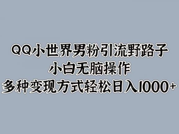 QQ小世界男粉引流野路子，小白无脑操作，多种变现方式轻松日入1000+