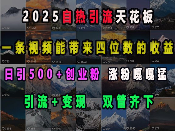 2025自热引流天花板，一条视频能带来四位数的收益，引流+变现双管齐下，日引500+创业粉，涨粉嘎嘎猛