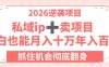 2026逆袭项目-私域ip+卖项目，小白也能月入十万年入百万，抓住机会彻底翻身！