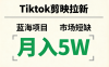Tiktok剪映拉新，蓝海项目，市场短缺，月入5W+